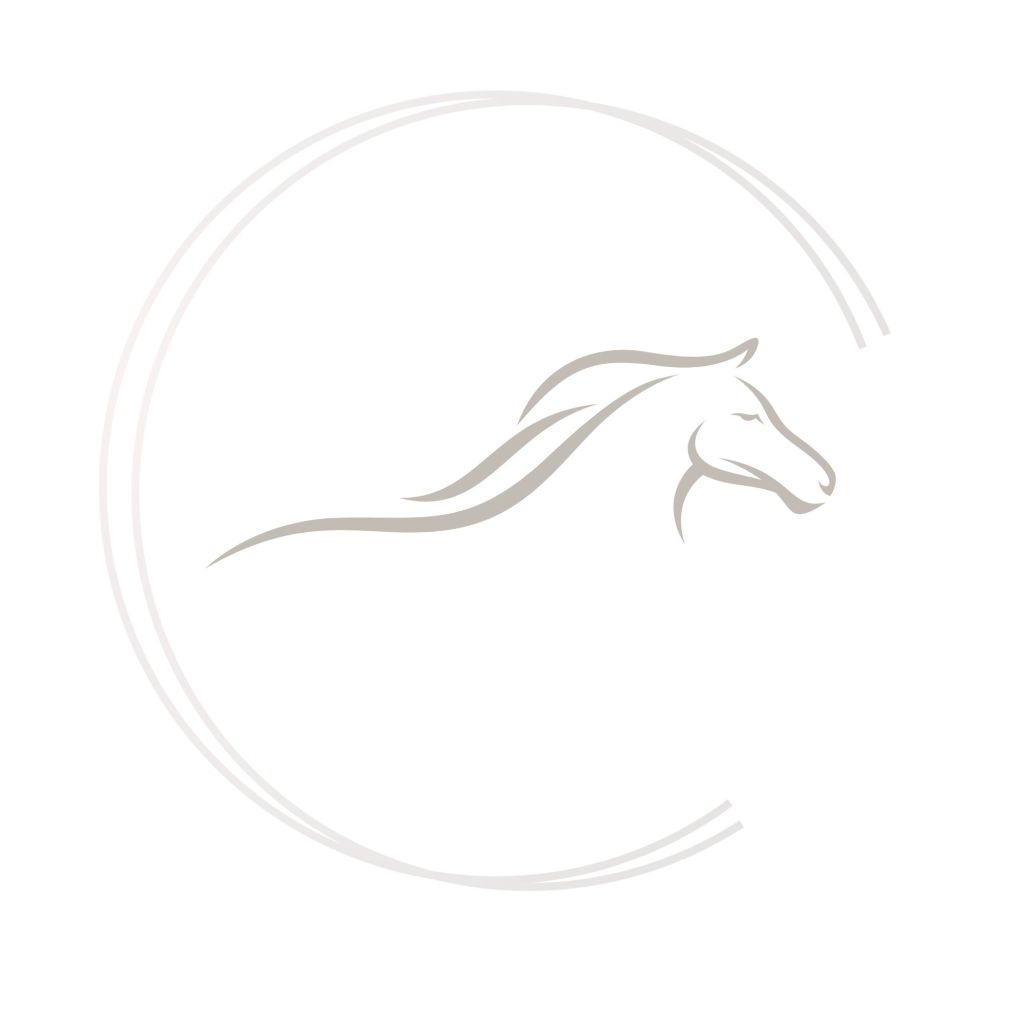 Acompañamiento complementario enfocado al mundo equestre